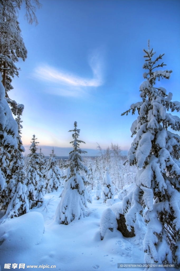 雪景