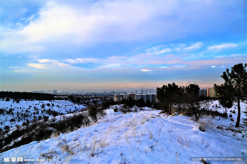 雪景
