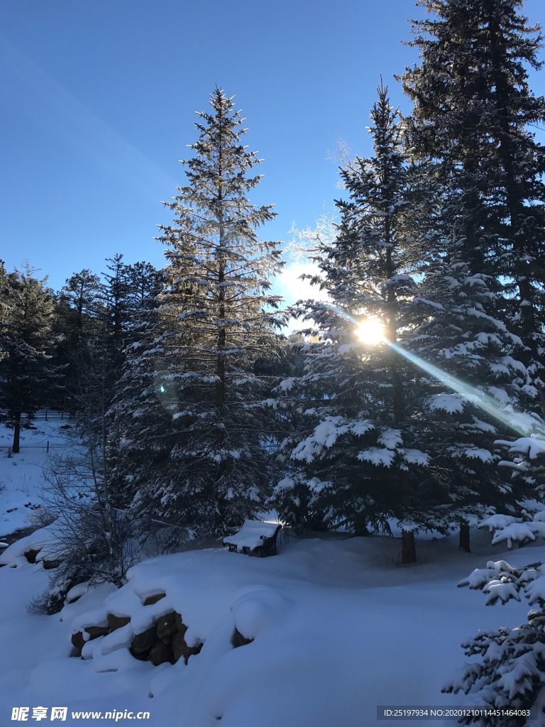 雪景