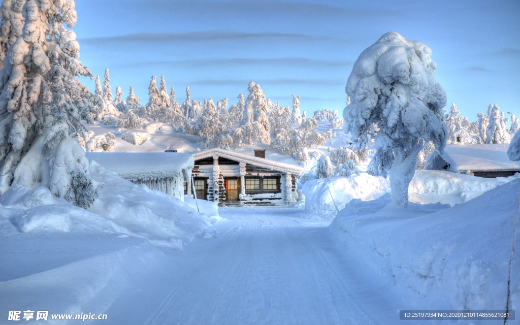 雪景