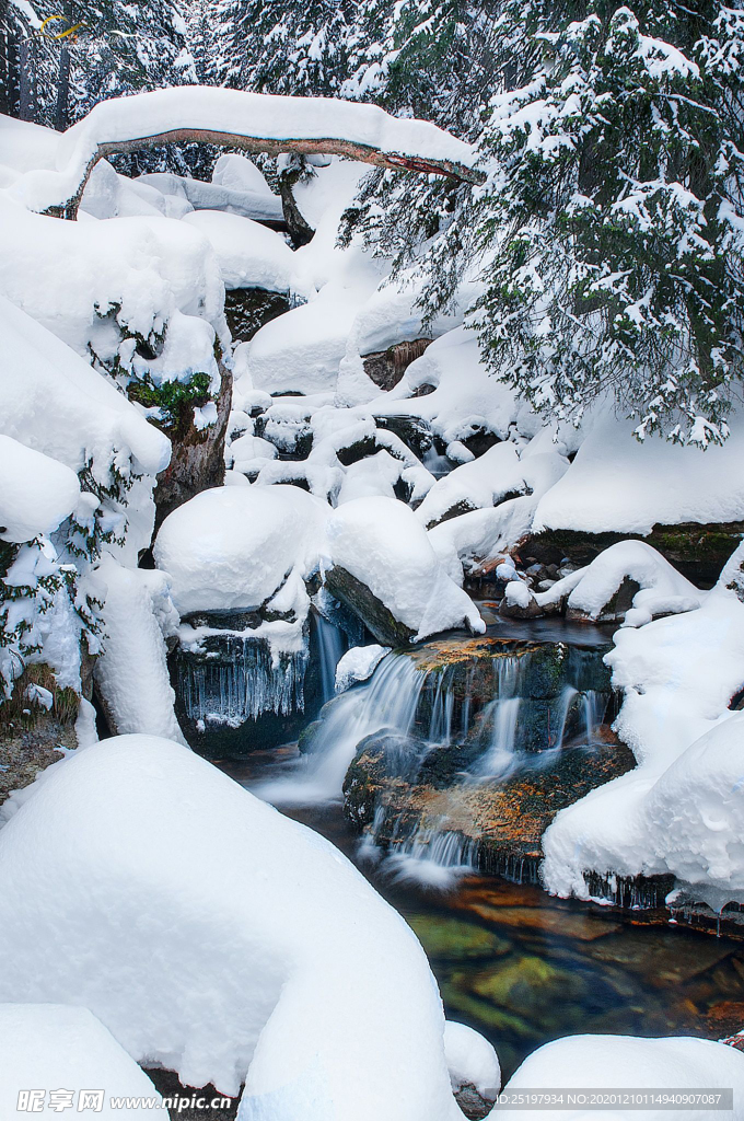 雪景