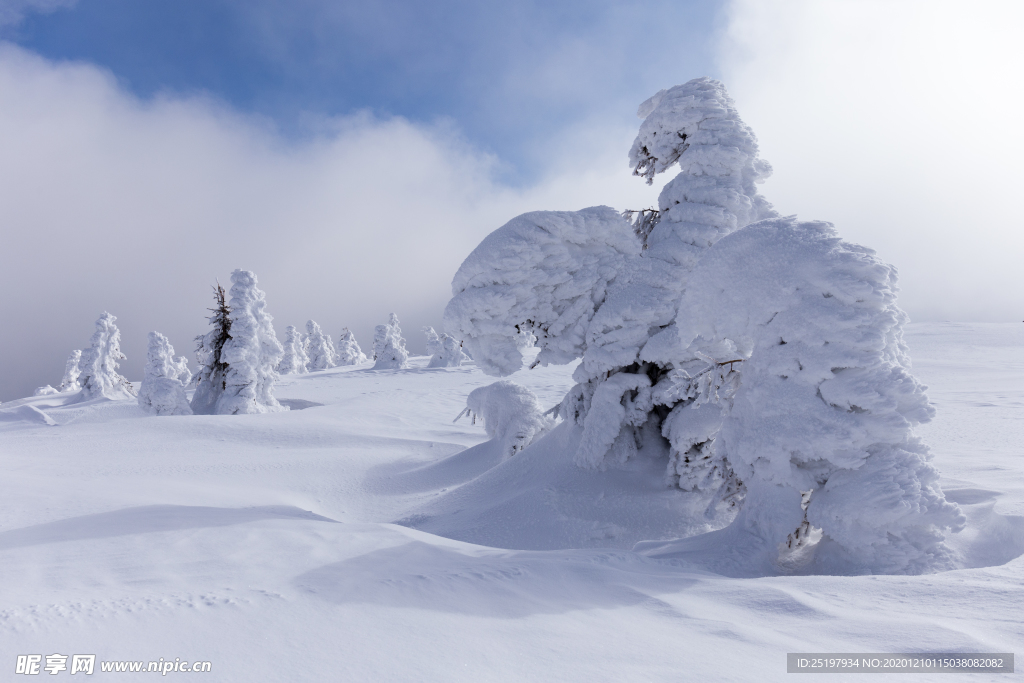 雪景