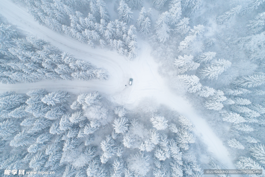雪景