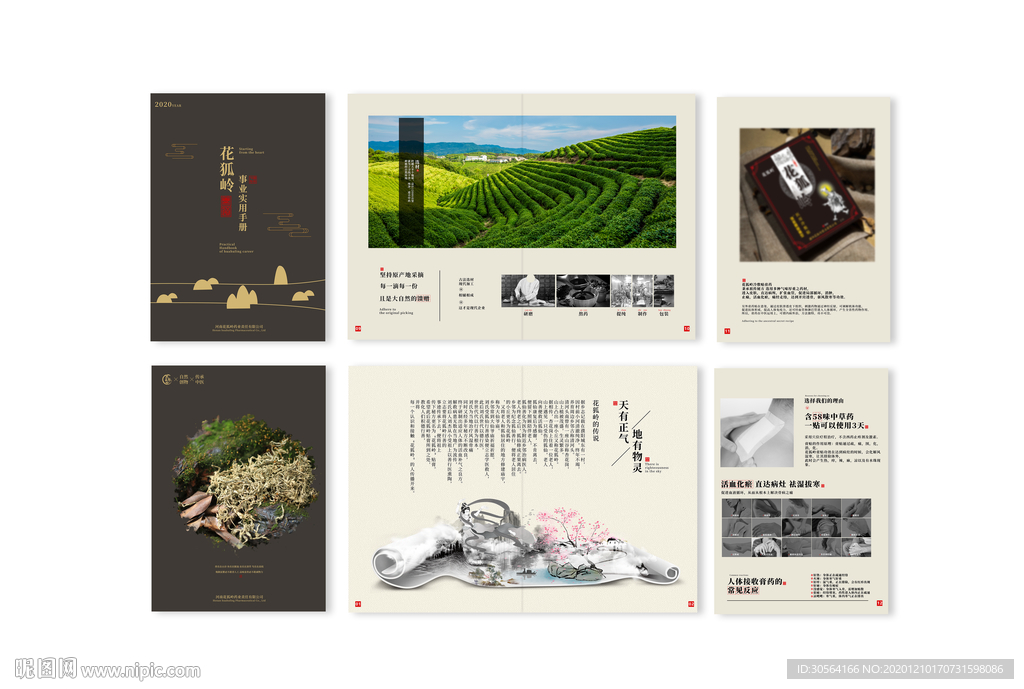 中药传统膏药艾灸液企业画册素材