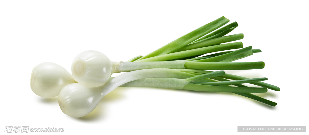 葱