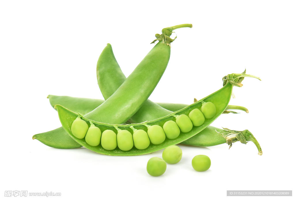 豌豆