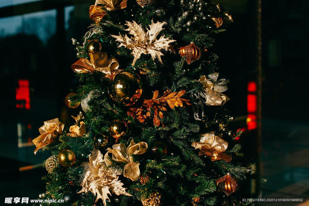 圣诞节 圣诞节装饰 圣诞节元素