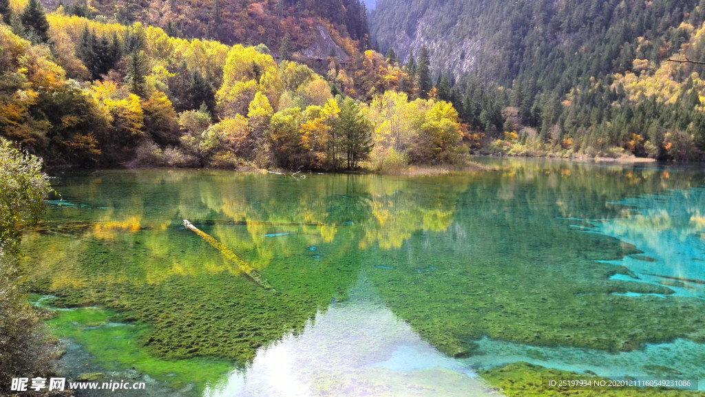 湖水