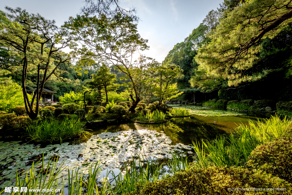 风景