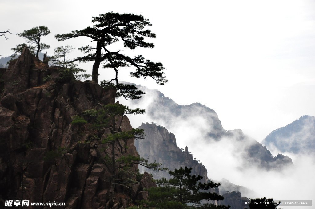 风景