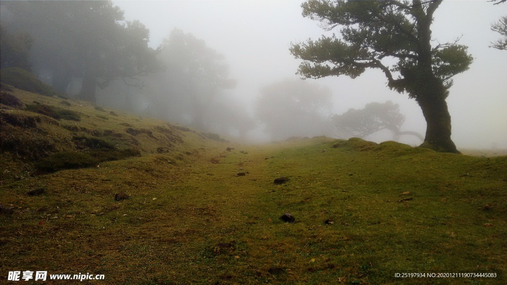风景