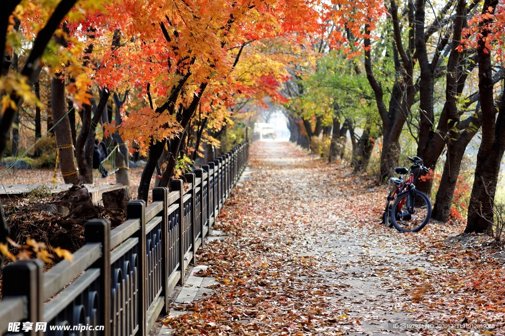 秋景