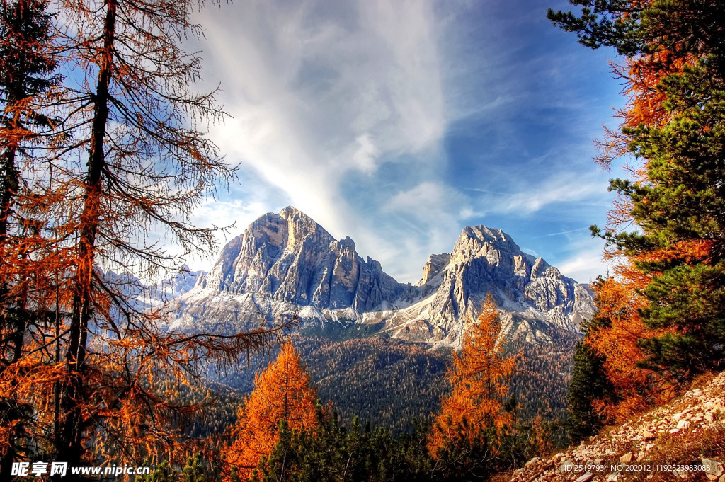 风景