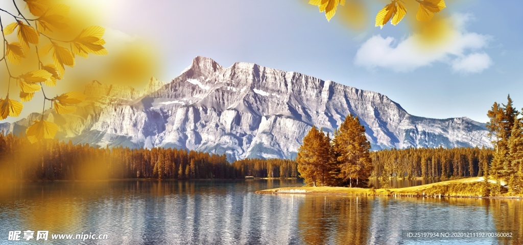 风景