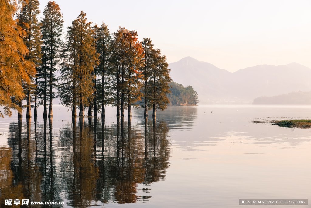 风景