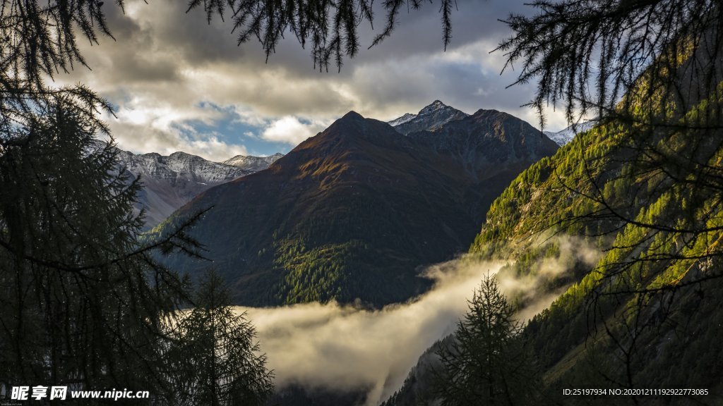 风景