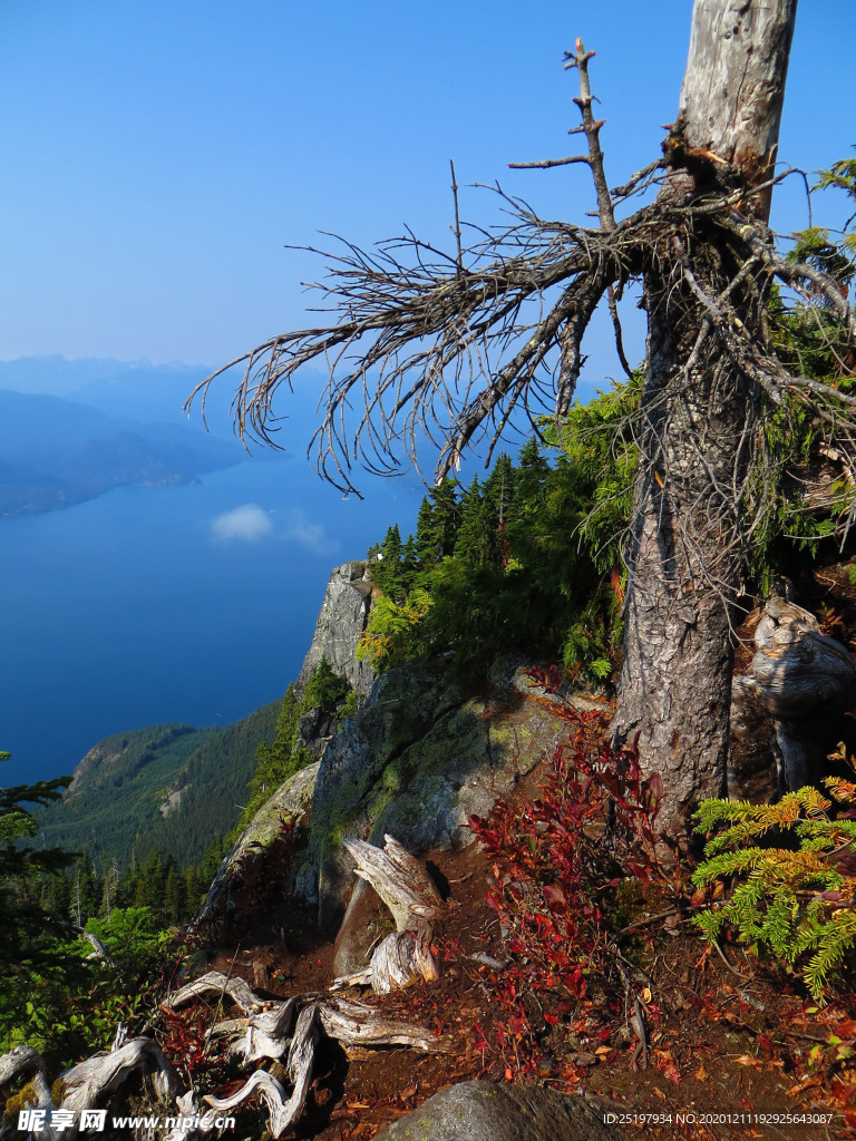 风景