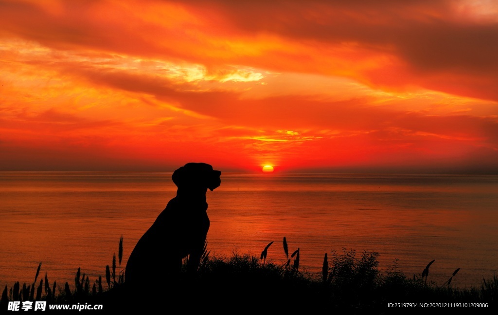 夕阳