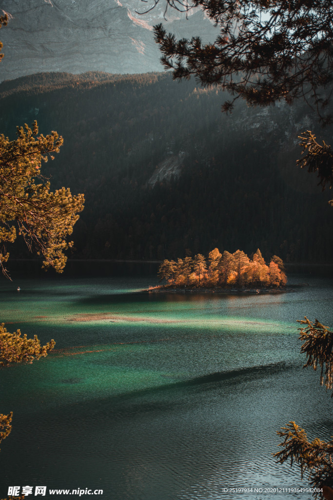 风景