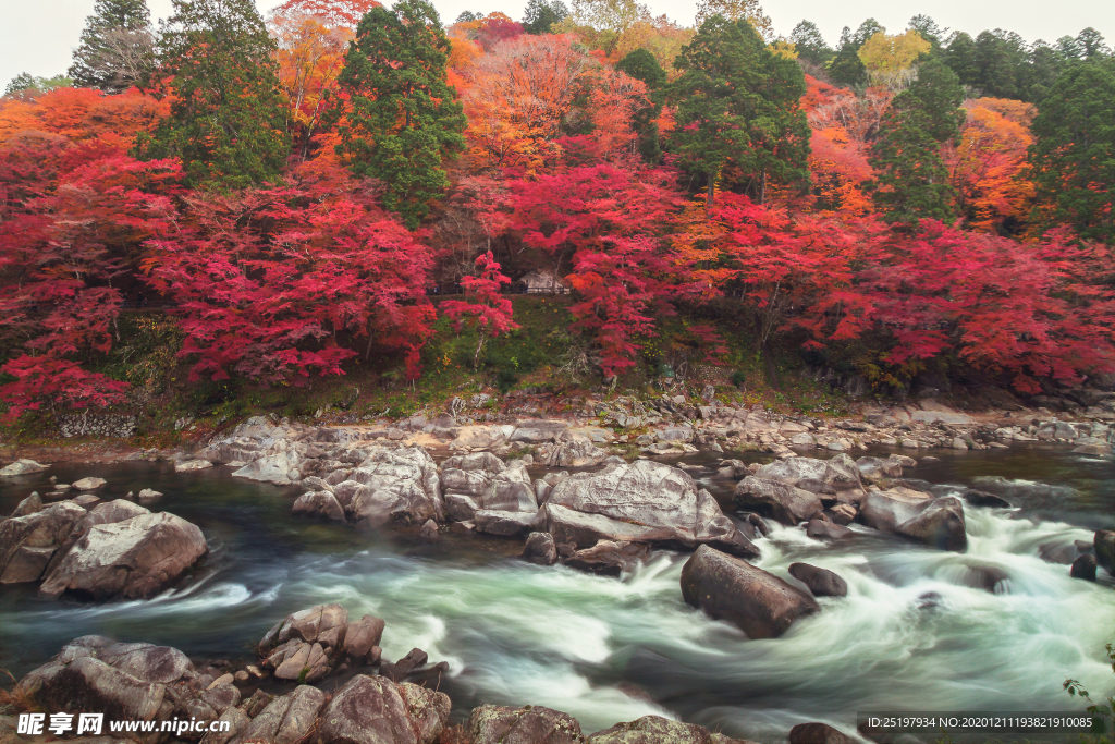 风景