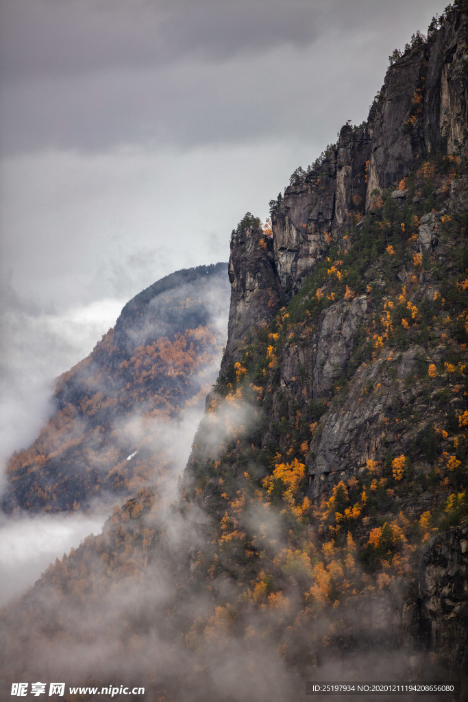 风景