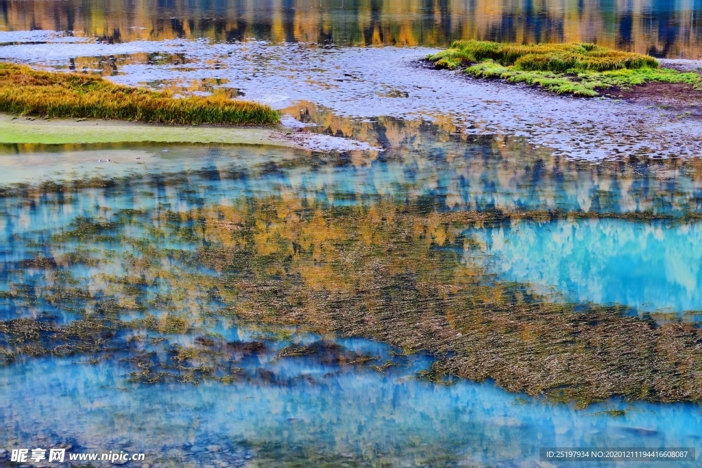 风景