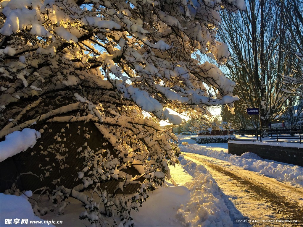 雪景