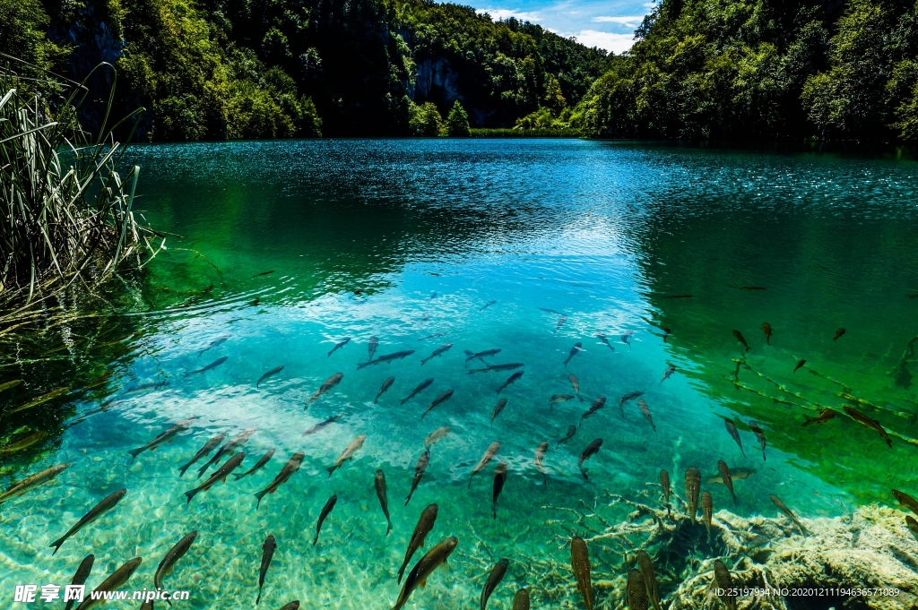 风景