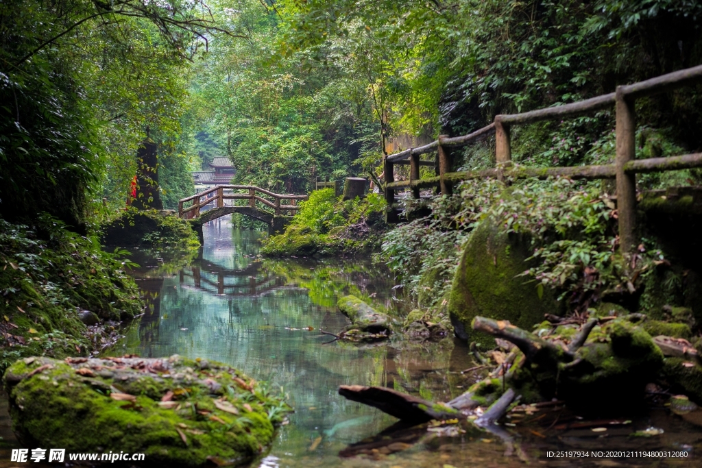 风景