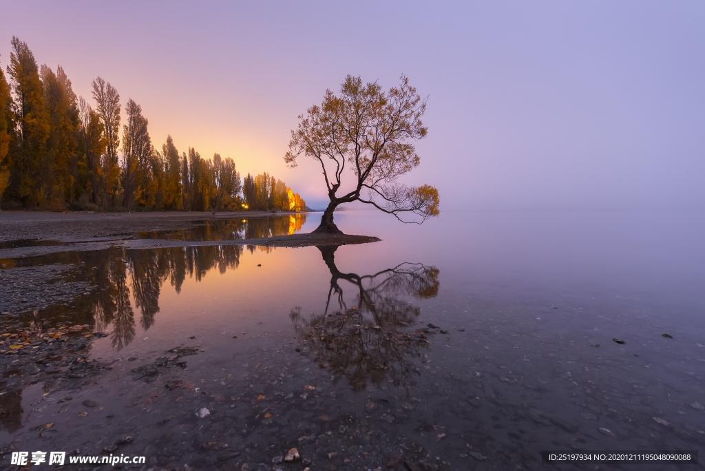 风景