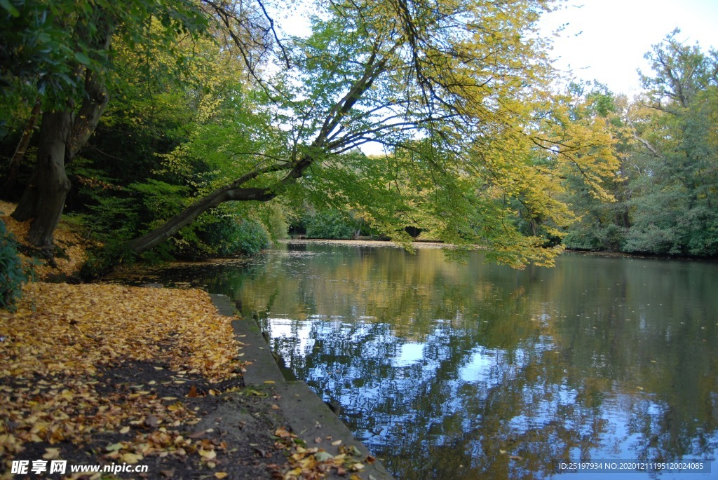 风景