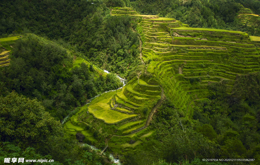 风景