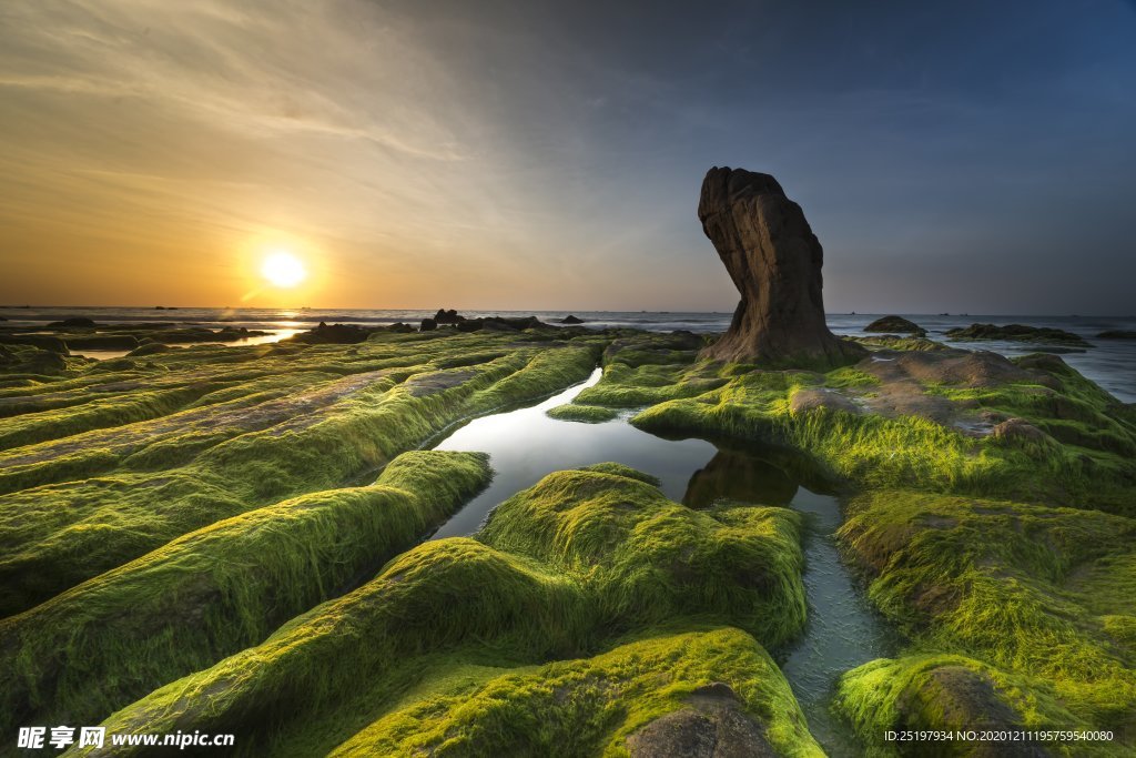 风景