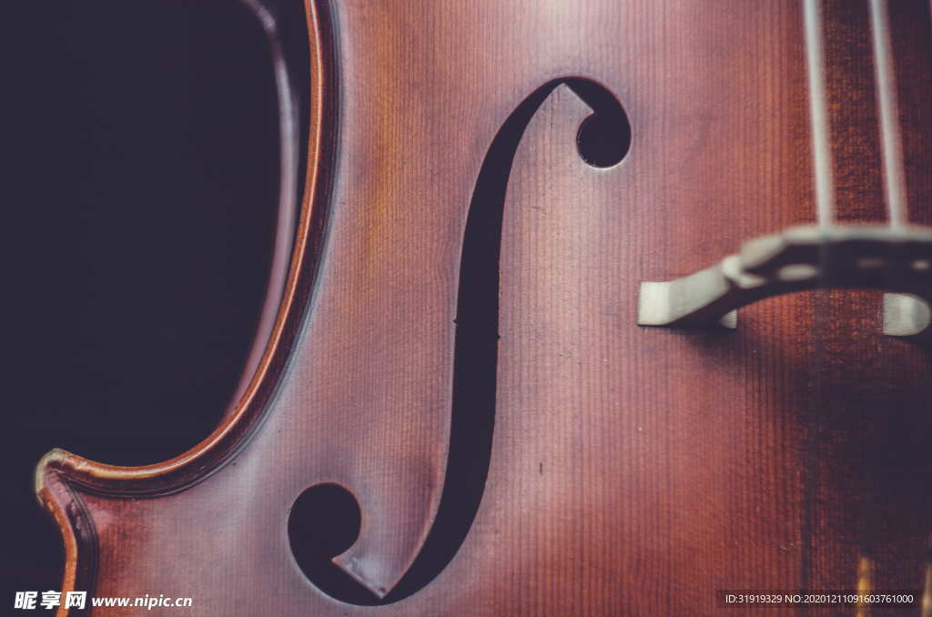 棕色弦乐器
