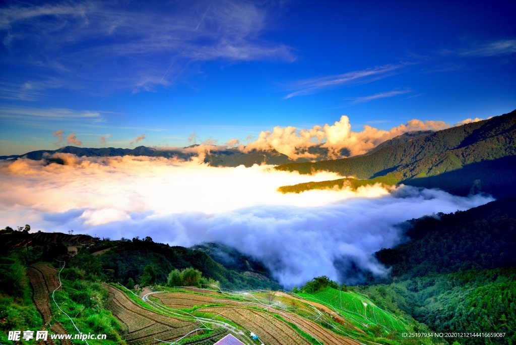 风景