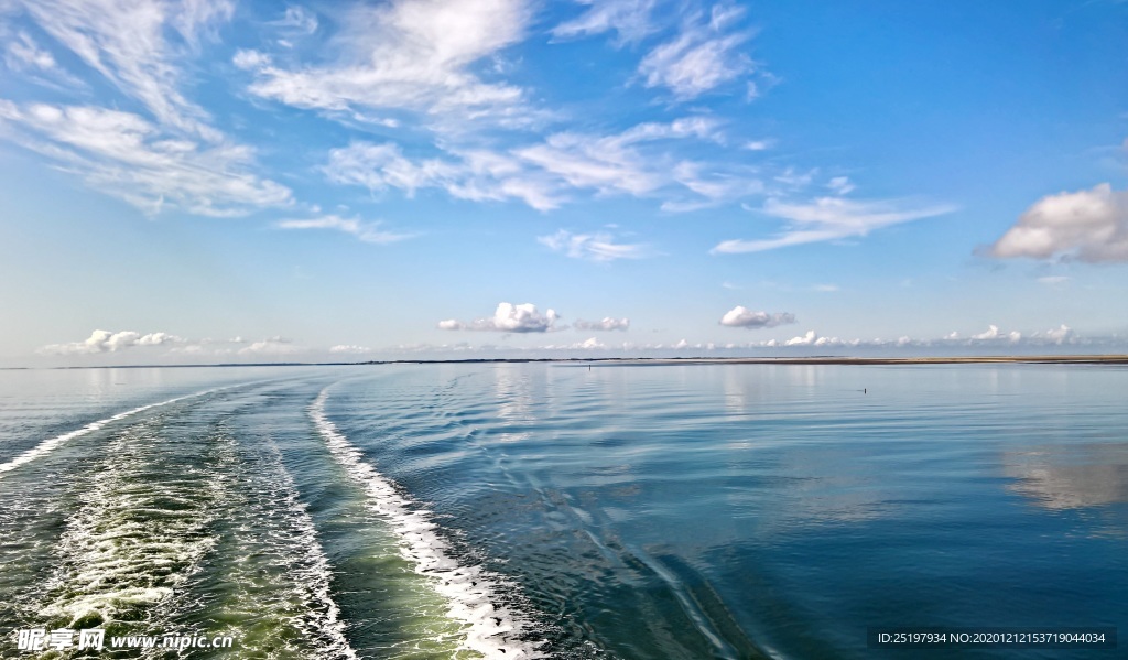 大海