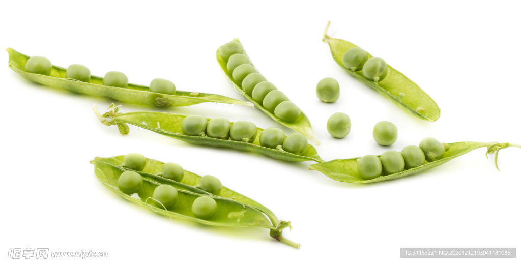 豌豆