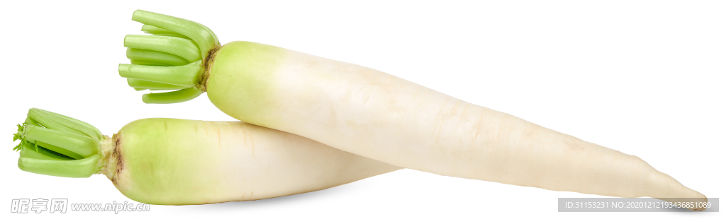 白萝卜