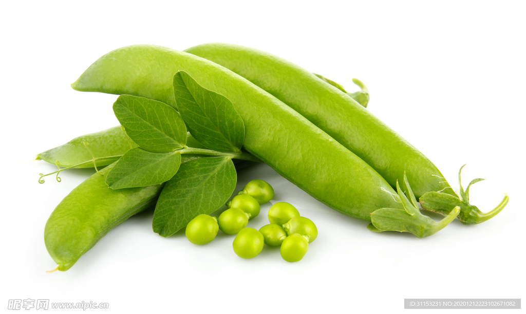 豌豆