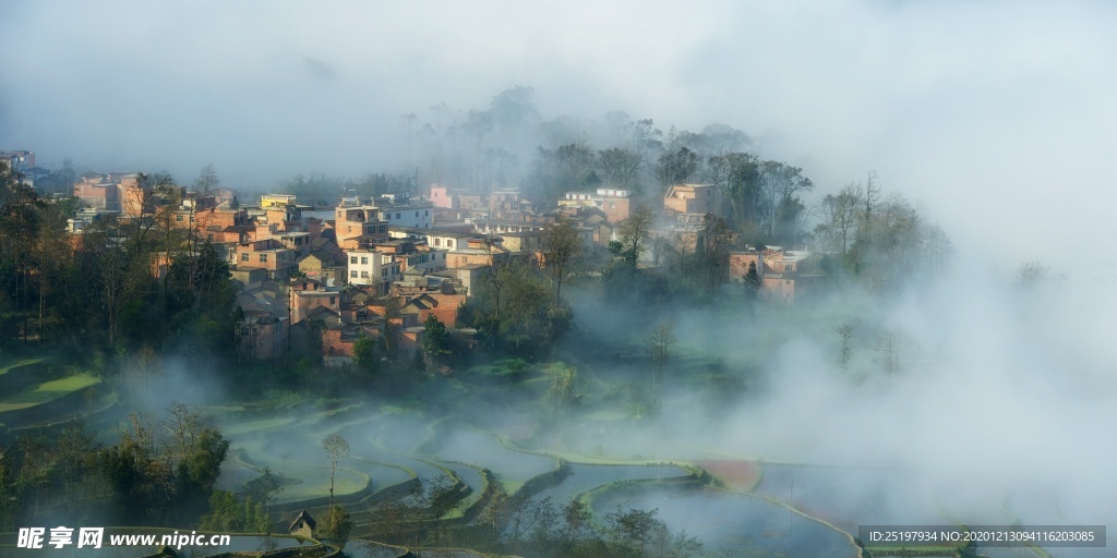 风景
