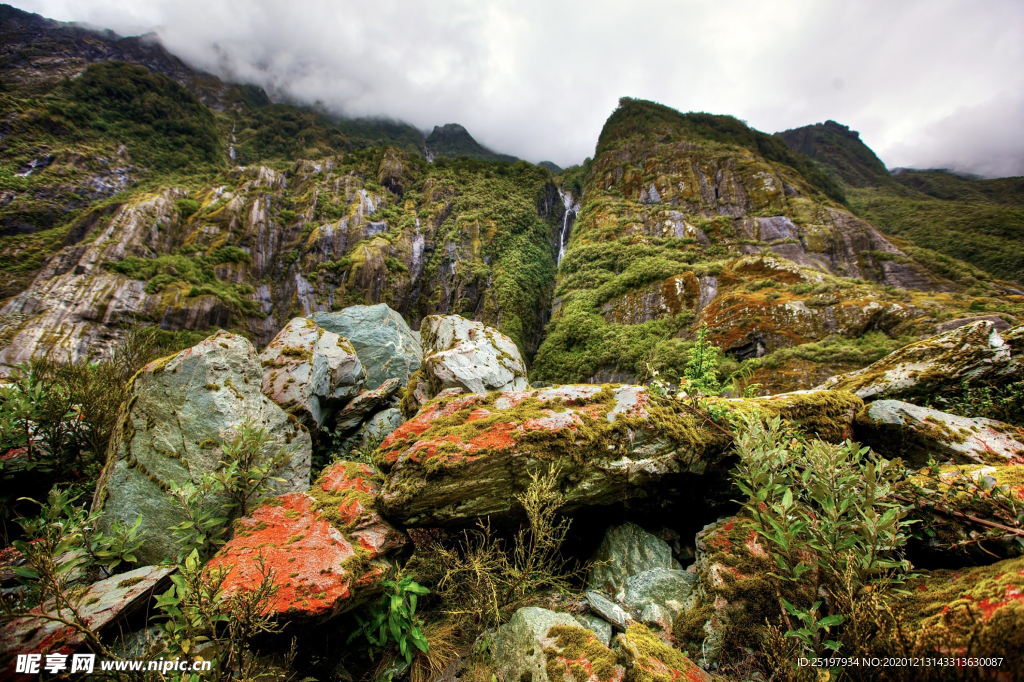 风景