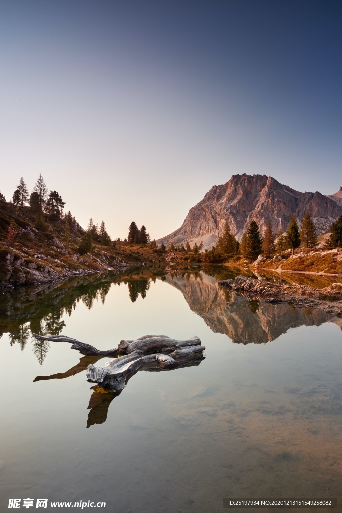 风景