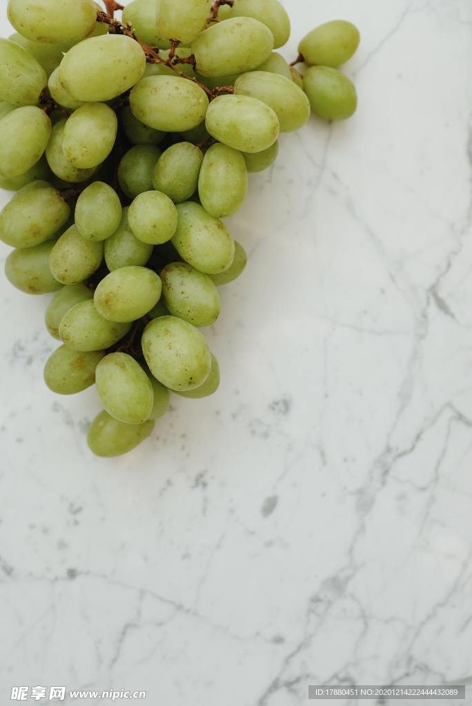 葡萄