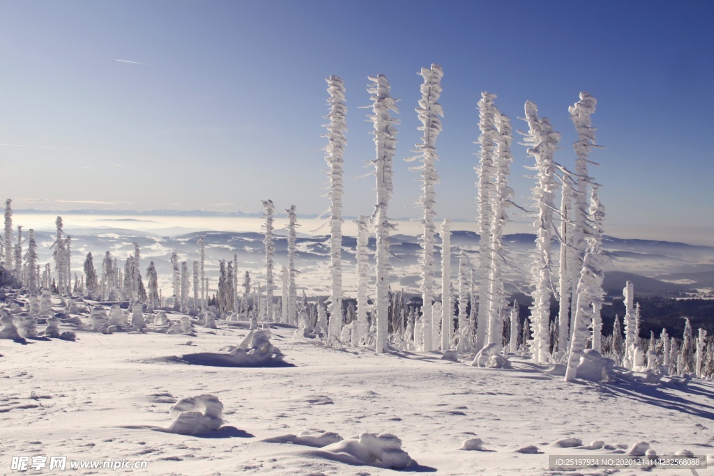 雪景