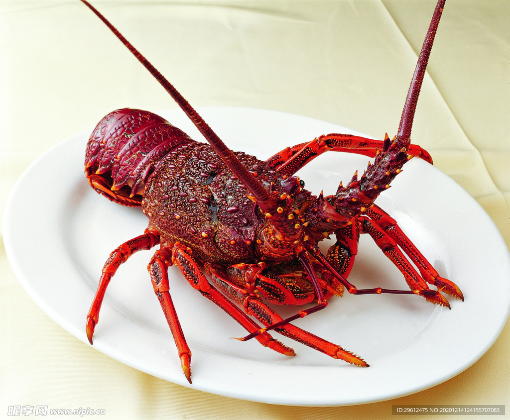 美食