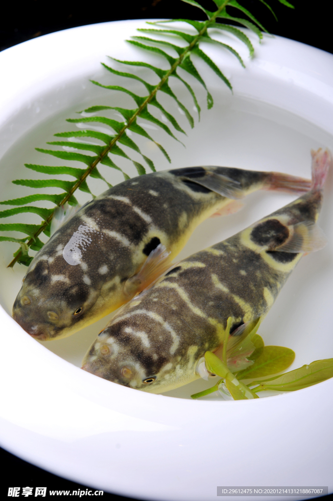 美食