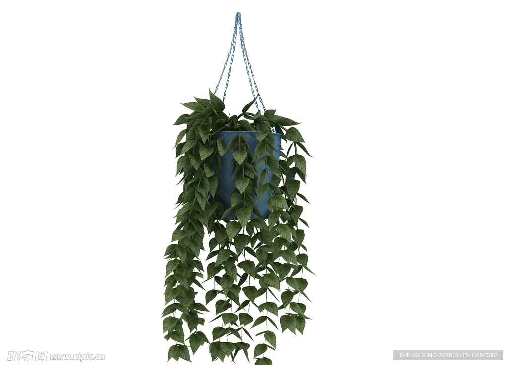 吊篮植物3d模型
