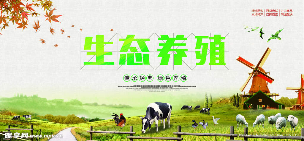 生态养殖公益活动宣传海报素材