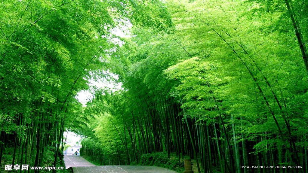 风景