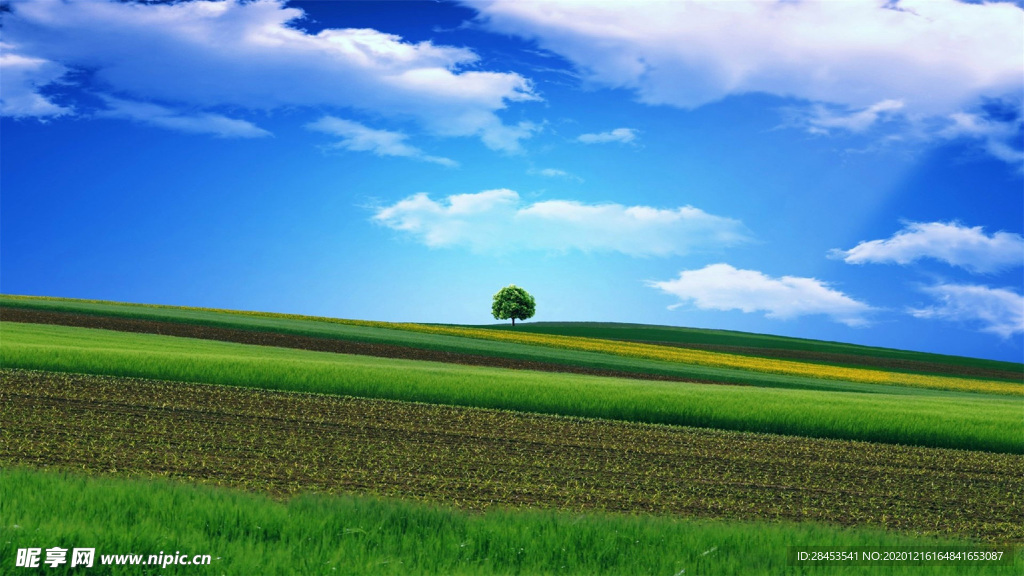 风景